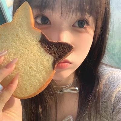 成凰录