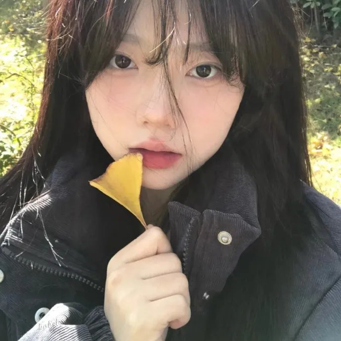 簪定此生